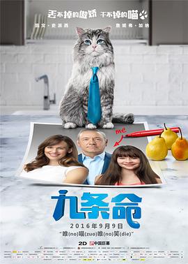 九条命英语 九条命英语