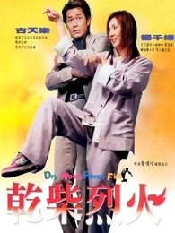 干柴烈火2002 干柴烈火2002